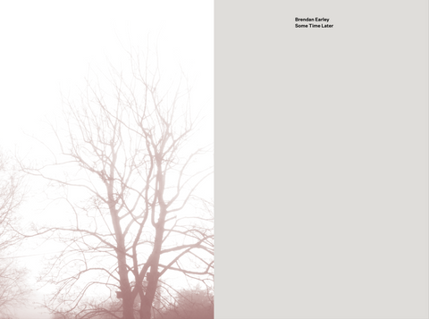Some Time Later, Brendan Earley