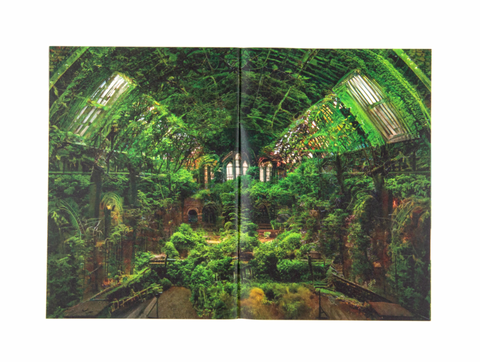 An Antique Land, Lewis Bush