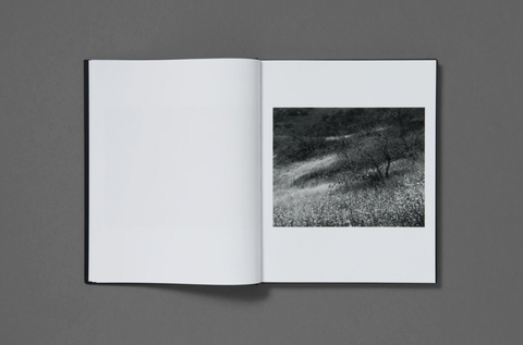 Heaven is a Prison, Mark McKnight