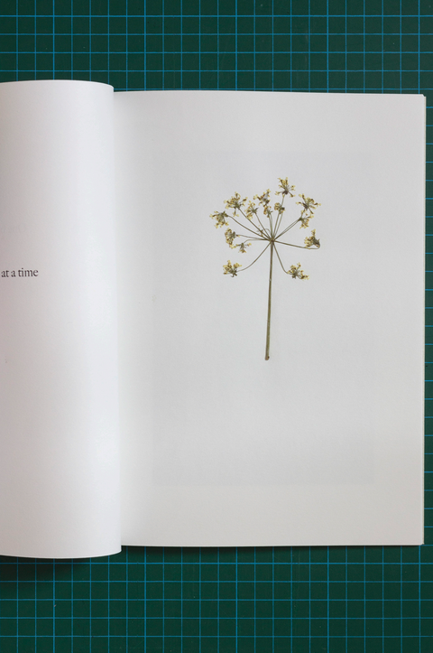 One branch at a time, Pablo Marín García