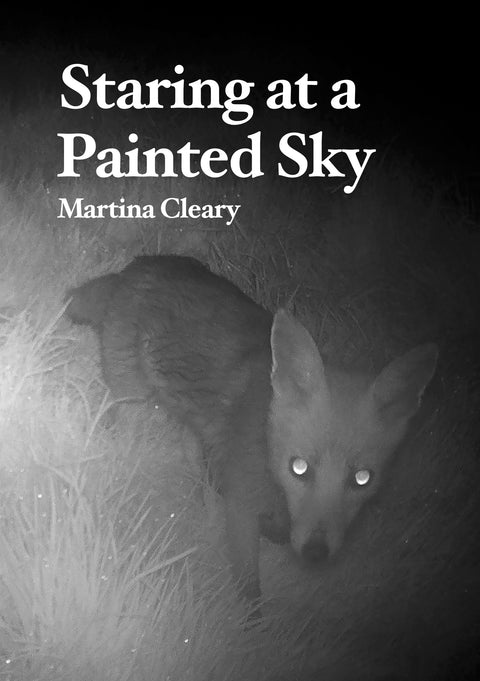 Staring at a Painted Sky, Martina Cleary
