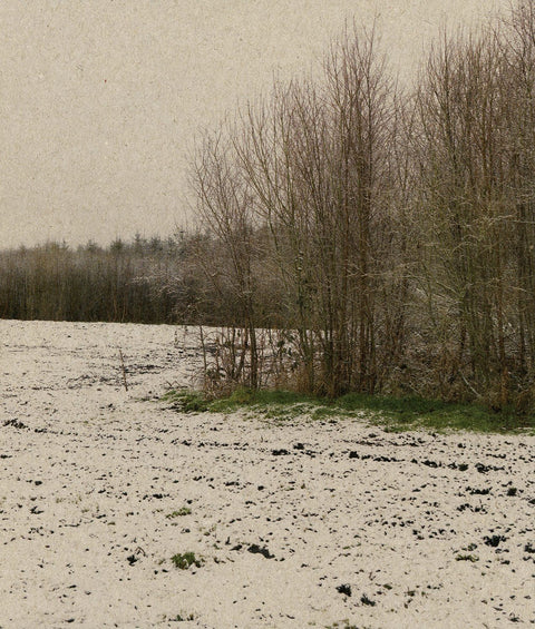 L'arbre que englout, David Farrell
