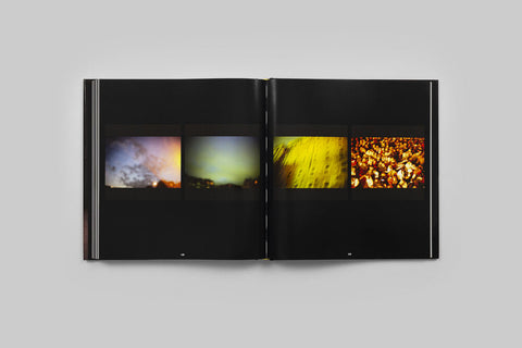 This Will Not End Well, Nan Goldin