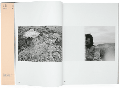 Truant Barbara Hammer: Grianghraif 1970-1979