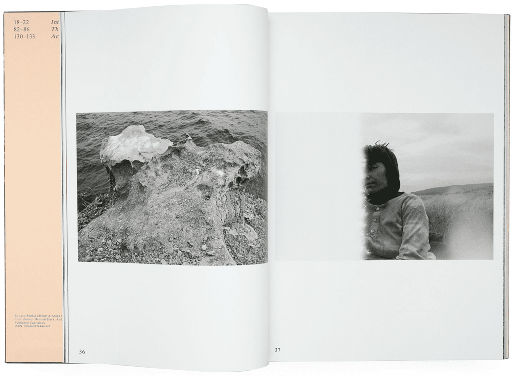 Barbara Hammer's Truant: Photographs 1970-1979 – The Library