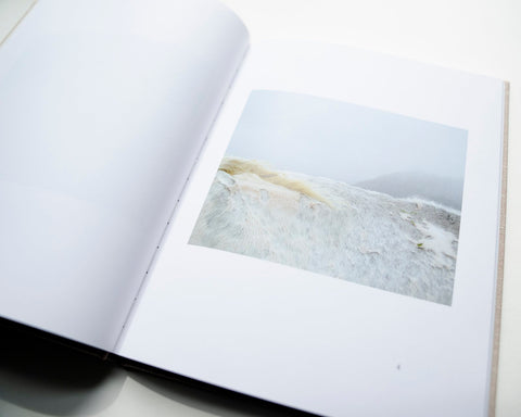 Cowspines, Kate Kirkwood