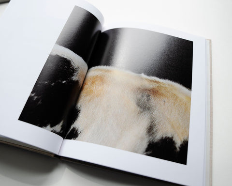 Cowspines, Kate Kirkwood