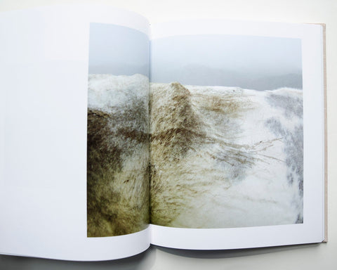 Cowspines, Kate Kirkwood