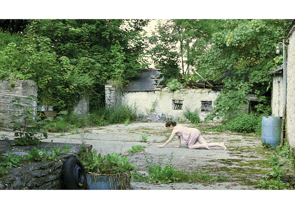 Vera Ryklova, 100 Views of Contemporary Ireland