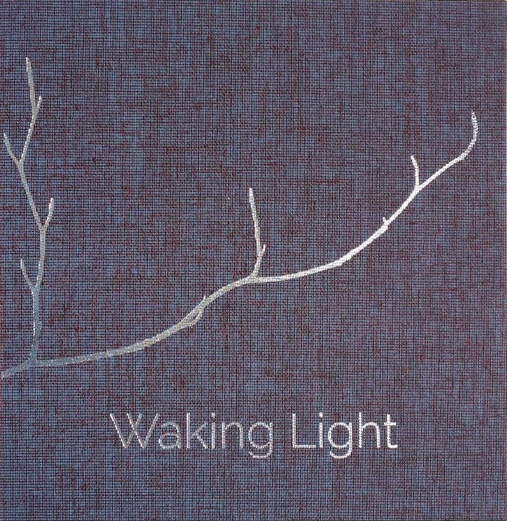 Waking Light, Kerri ní Dochartaigh und Mícheál McCann 