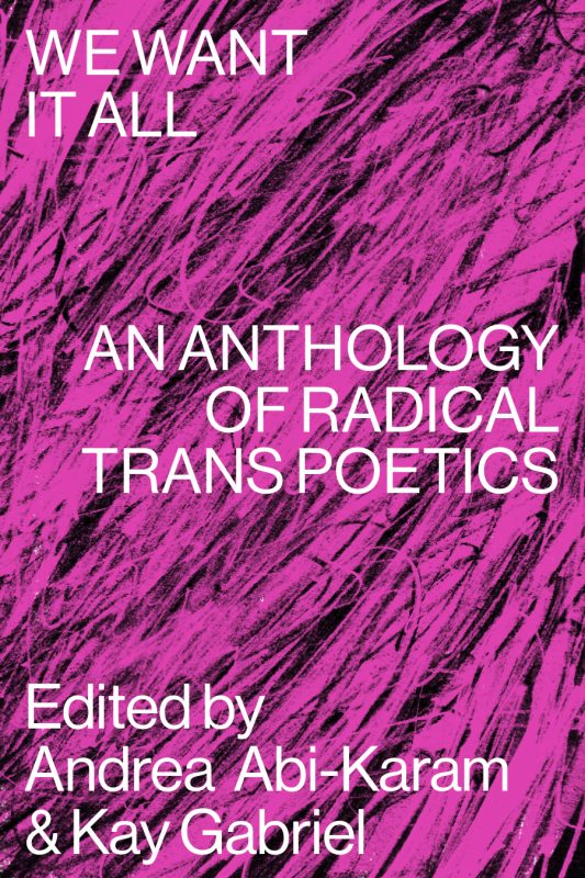 Wir wollen alles: Eine Anthologie radikaler Transpoetik 