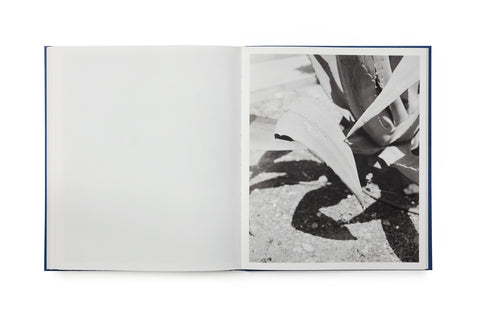 Sub Sole, Massao Mascaro (First Edition)