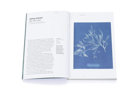Photography (Art Essentials), David Bate