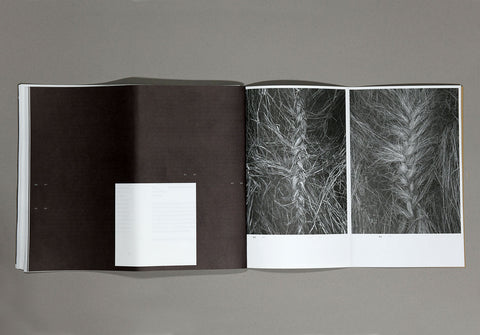 Numbered Editions 1: figure | ground