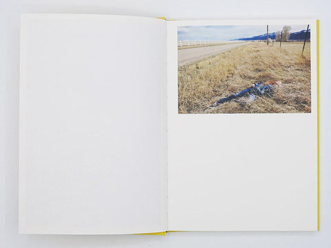 Lone Dove, Bec Parsons - The Library Project