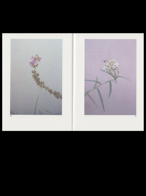 Almost All the Flowers in My Mother’s Garden, Hilla Kurki