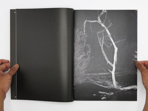 Second Sight, Sarah Walker - The Library Project