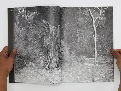Second Sight, Sarah Walker - The Library Project