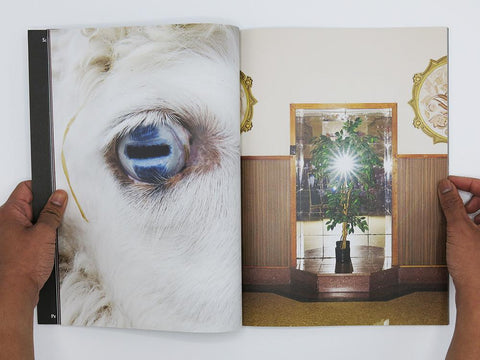 Second Sight, Sarah Walker - The Library Project