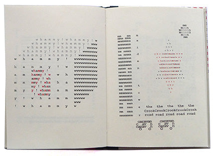 What Noise on Earth?, Susan Connolly