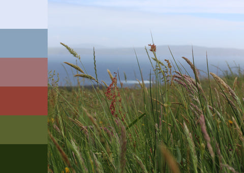 Colour Palettes from Ireland Postcard Set, Paula Barrett